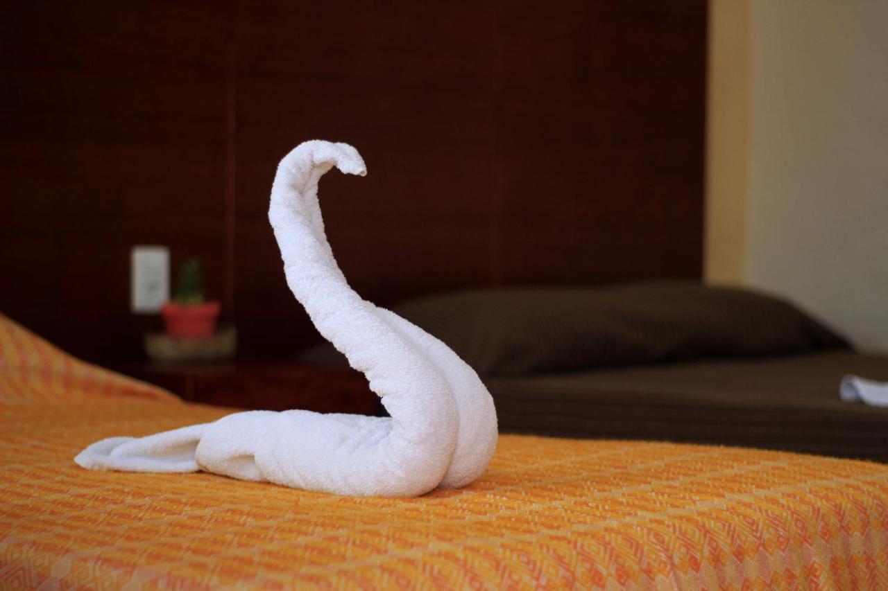 Hotel Las Mestizas 바야돌리드 외부 사진